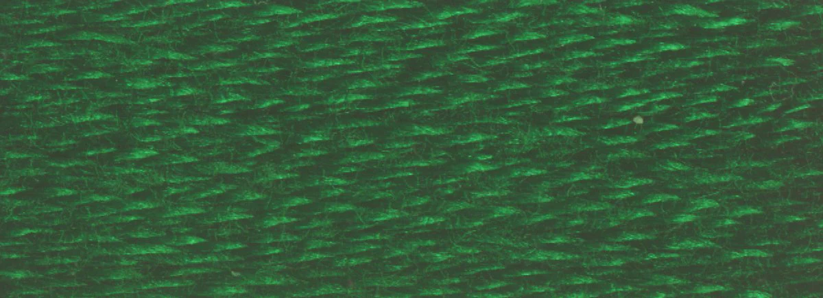 DMC 6-Strand Cotton Embroidery Floss 8.7yd - 3818 Ultra Very Dark Emerald Green - Image 2