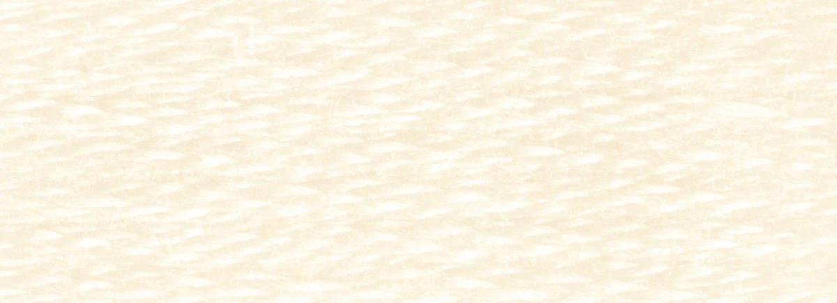 DMC 6-Strand Cotton Embroidery Floss 8.7yd - 3866 Ultra Very Light Mocha Brown - Image 2
