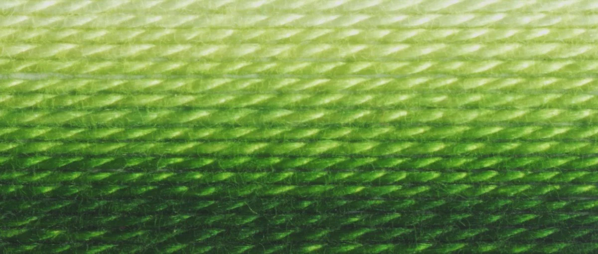 DMC 6-Strand Cotton Embroidery Floss 8.7yd - 92 Variegated Avocado - Image 2