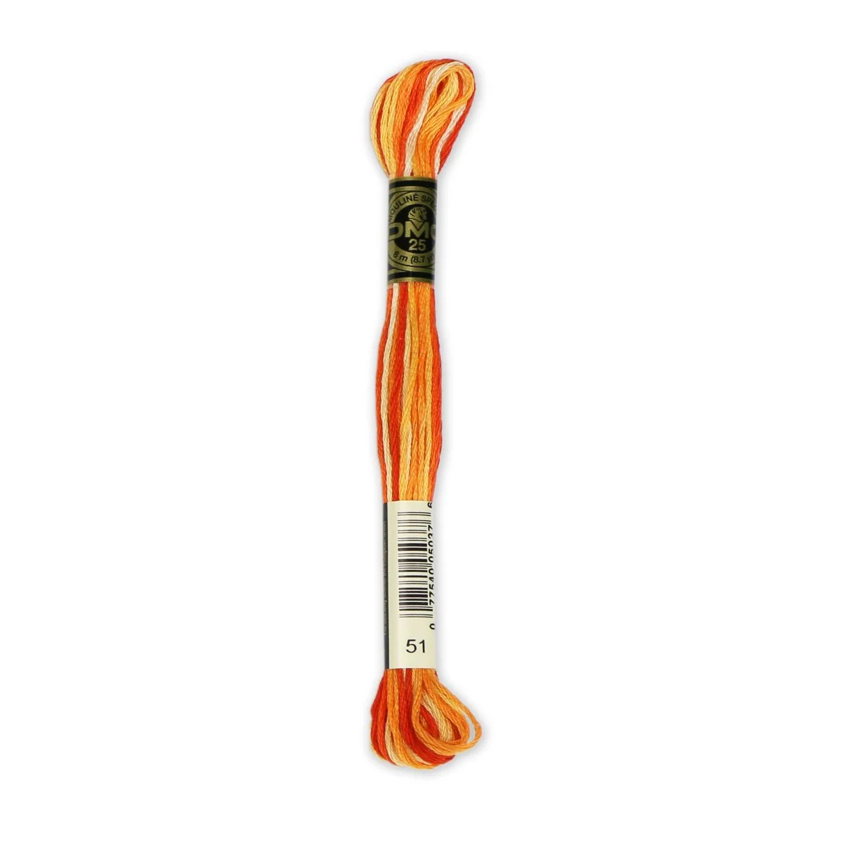 DMC 6-Strand Cotton Embroidery Floss 8.7yd - 51 Variegated Burnt Orange