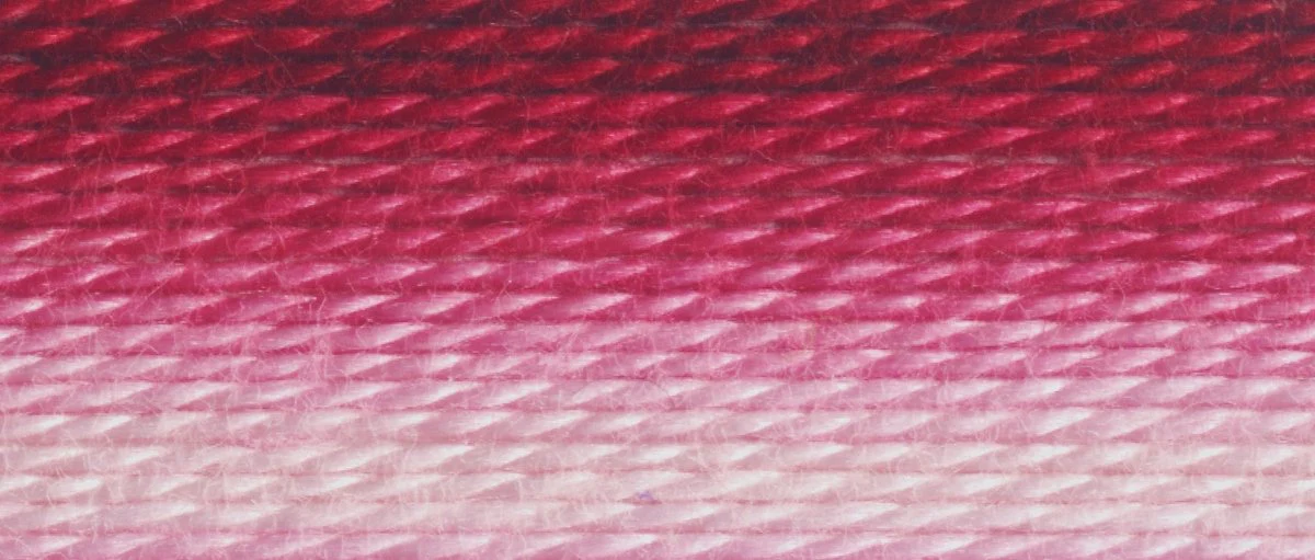 DMC 6-Strand Cotton Embroidery Floss 8.7yd - 99 Variegated Mauve - Image 2