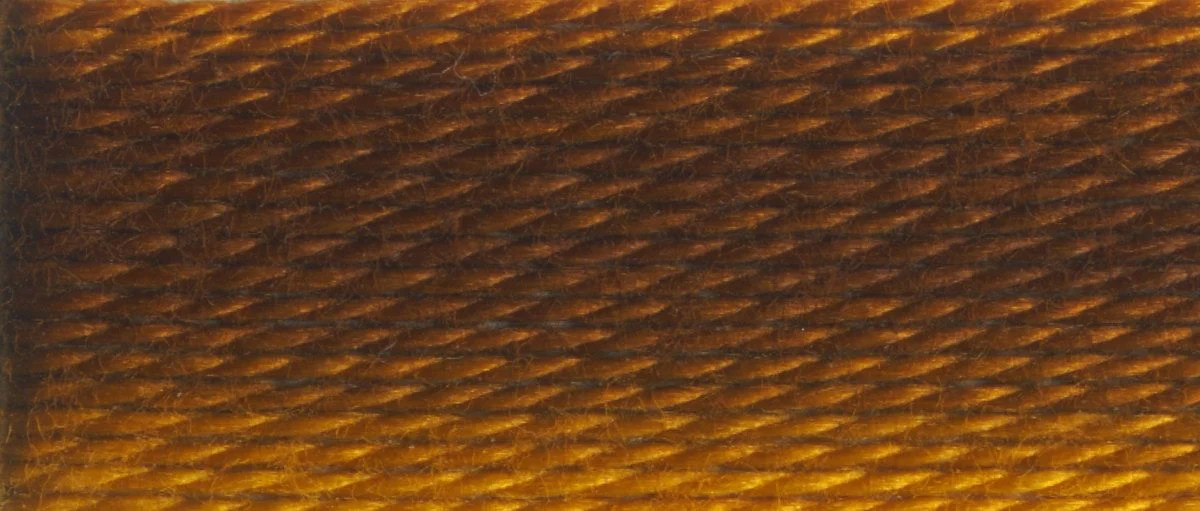 DMC 6-Strand Cotton Embroidery Floss 8.7yd - 111 Variegated Mustard - Image 2