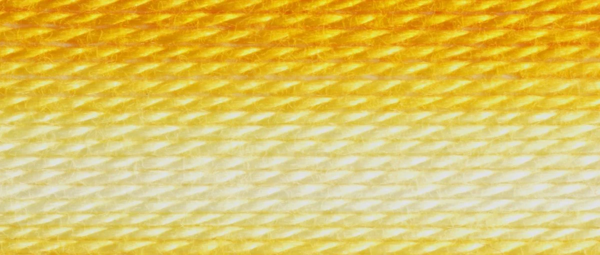 DMC 6-Strand Cotton Embroidery Floss 8.7yd - 90 Variegated Yellow - Image 2