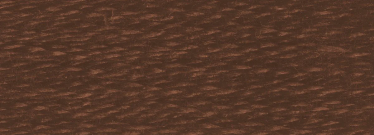 DMC 6-Strand Cotton Embroidery Floss 8.7yd - 838 Very Dark Beige Brown - Image 2