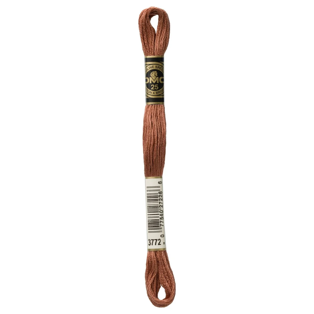 DMC 6-Strand Cotton Embroidery Floss 8.7yd - 3772 Very Dark Desert Sand