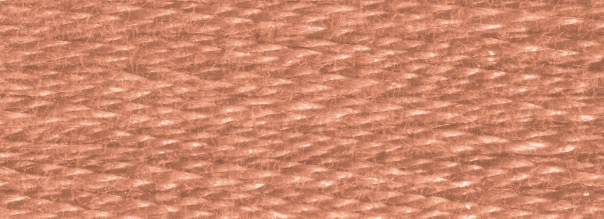 DMC 6-Strand Cotton Embroidery Floss 8.7yd - 3772 Very Dark Desert Sand - Image 2