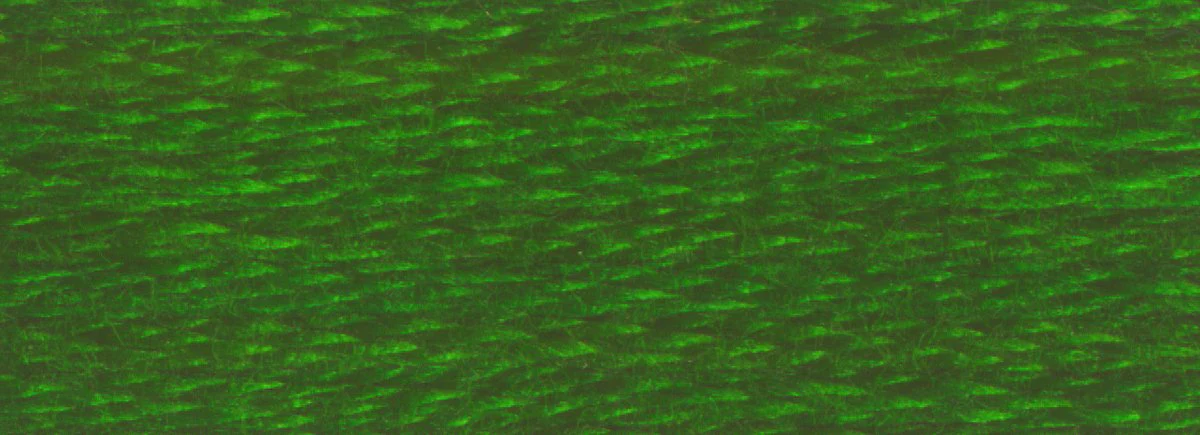 DMC 6-Strand Cotton Embroidery Floss 8.7yd - 986 Very Dark Forest Green - Image 2
