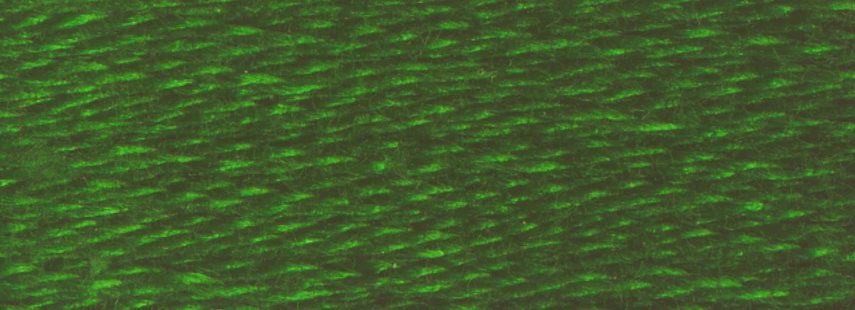 DMC 6-Strand Cotton Embroidery Floss 8.7yd - 895 Very Dark Hunter Green - Image 2
