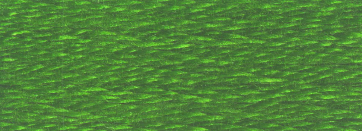 DMC 6-Strand Cotton Embroidery Floss 8.7yd - 904 Very Dark Parrot Green - Image 2