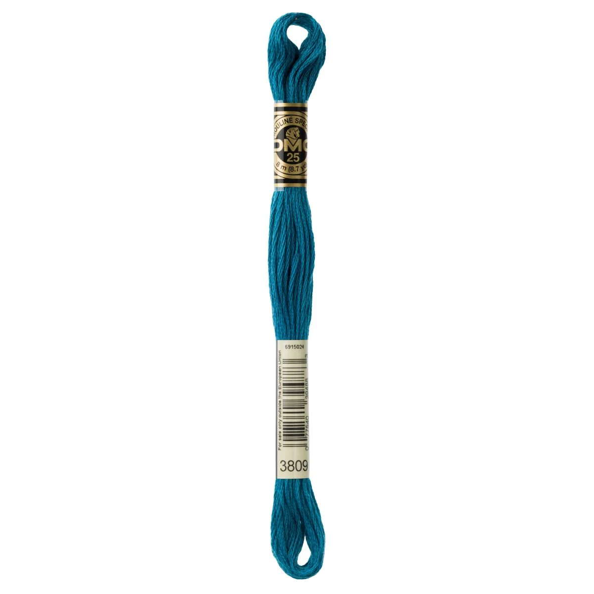 DMC 6-Strand Cotton Embroidery Floss 8.7yd - 3809 Very Dark Turquoise