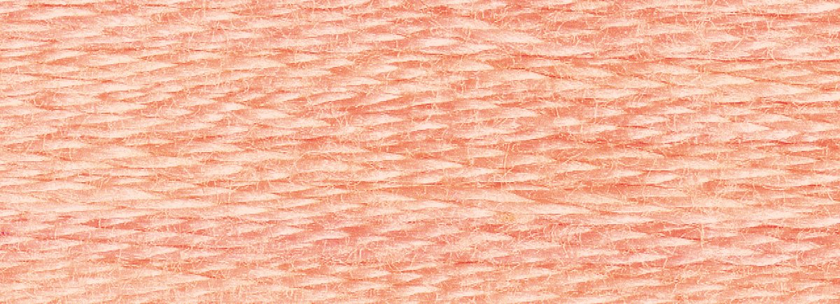 DMC 6-Strand Cotton Embroidery Floss 8.7yd - 967 Very Light Apricot - Image 2