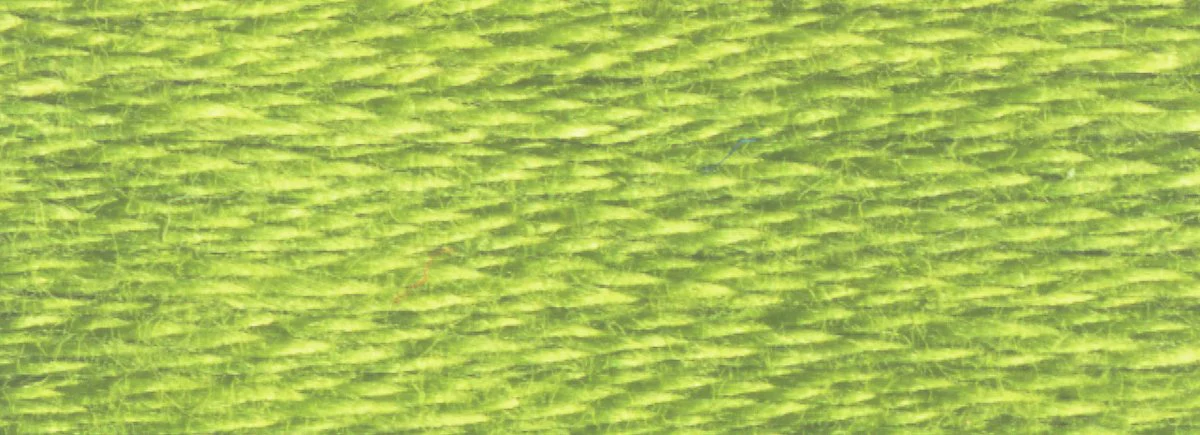 DMC 6-Strand Cotton Embroidery Floss 8.7yd - 471 Very Light Avocado Green - Image 2