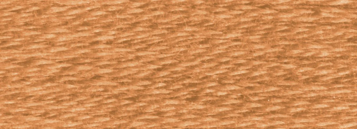 DMC 6-Strand Cotton Embroidery Floss 8.7yd - 435 Very Light Brown - Image 2