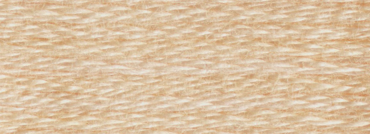 DMC 6-Strand Cotton Embroidery Floss 8.7yd - 3774 Very Light Desert Sand - Image 2