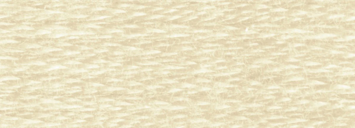DMC 6-Strand Cotton Embroidery Floss 8.7yd - 613 Very Light Drab Brown - Image 2