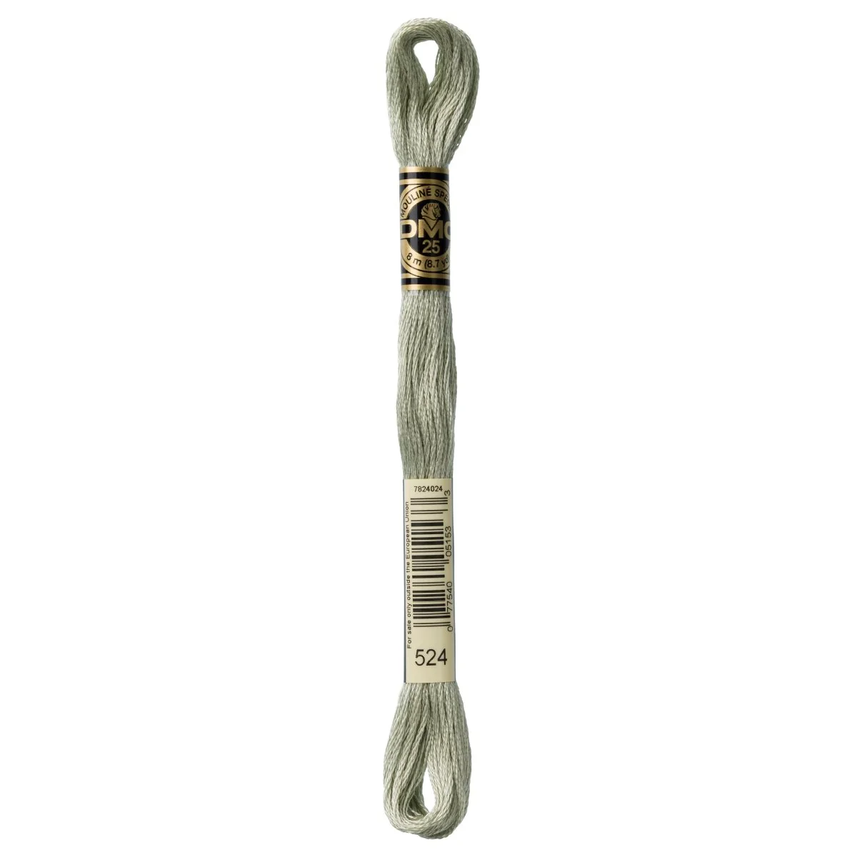 DMC 6-Strand Cotton Embroidery Floss 8.7yd - 524 Very Light Fern Green