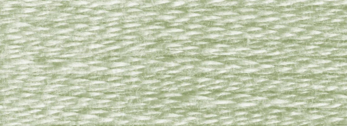DMC 6-Strand Cotton Embroidery Floss 8.7yd - 524 Very Light Fern Green - Image 2