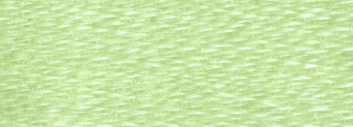 DMC 6-Strand Cotton Embroidery Floss 8.7yd - 369 Very Light Pistachio Green - Image 2