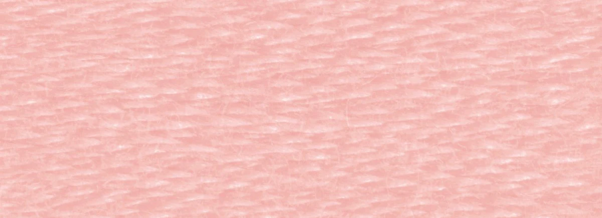 DMC 6-Strand Cotton Embroidery Floss 8.7yd - 224 Very Light Shell Pink - Image 2