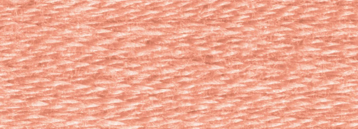 DMC 6-Strand Cotton Embroidery Floss 8.7yd - 758 Very Light Terra Cotta - Image 2