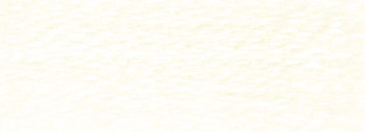 DMC 6-Strand Cotton Embroidery Floss 8.7yd - 3865 Winter White - Image 2