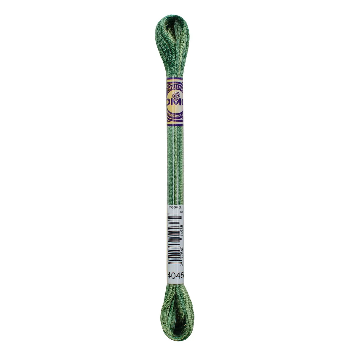 DMC Color Variations 6-Strand Embroidery Floss 8.7yd - 4045 Evergreen Forest