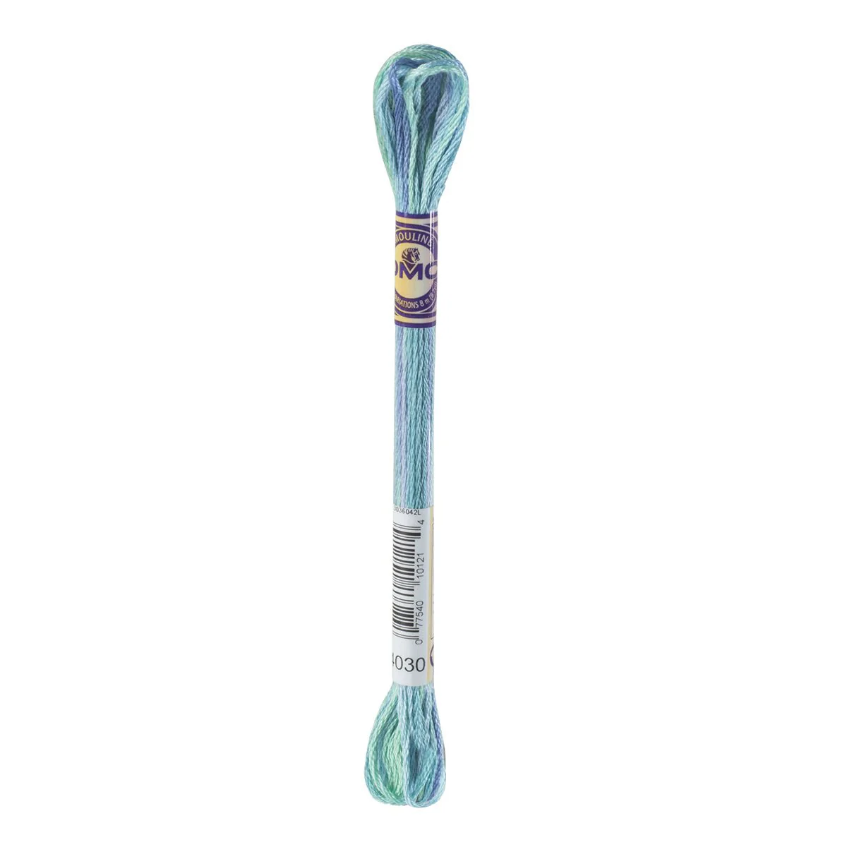 DMC Color Variations 6-Strand Embroidery Floss 8.7yd - 4030 Monet's Garden