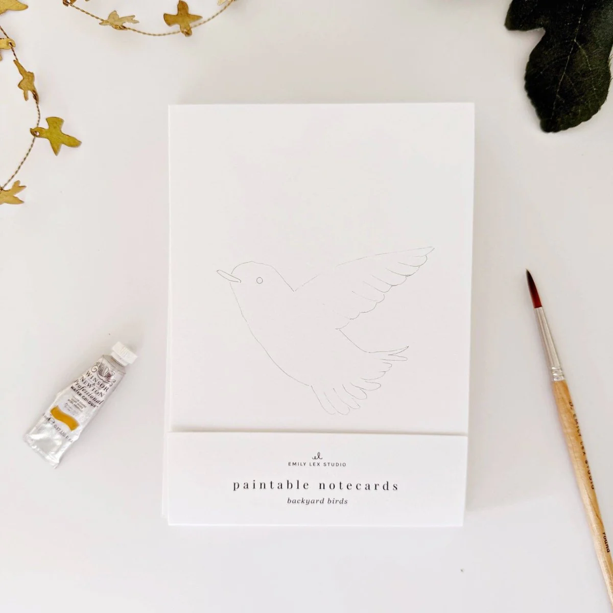 emily lex studio - Backyard birds paintable notecards - Image 2
