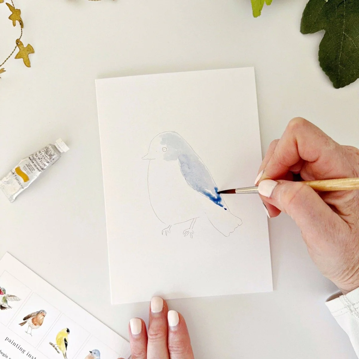 emily lex studio - Backyard birds paintable notecards - Image 4