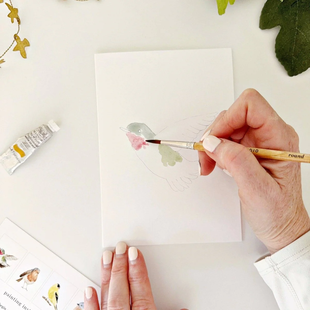 emily lex studio - Backyard birds paintable notecards - Image 6