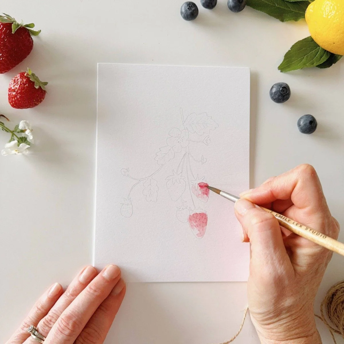 emily lex studio - Fruit paintable notecards - Image 3
