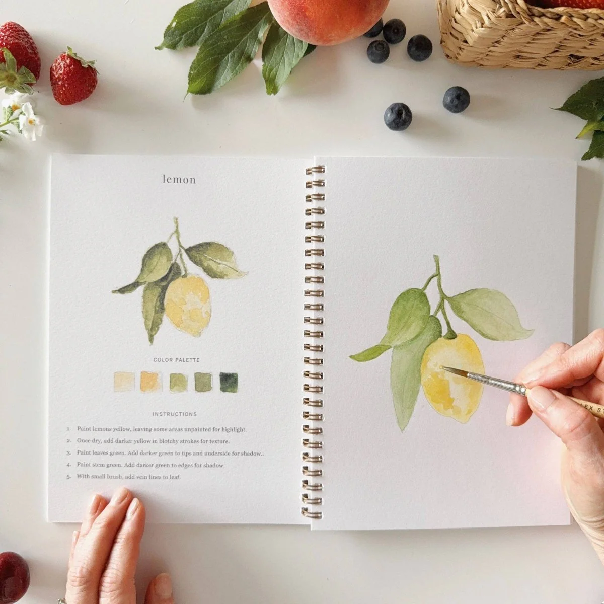 emily lex studio - Fruit watercolor workbook - Image 6