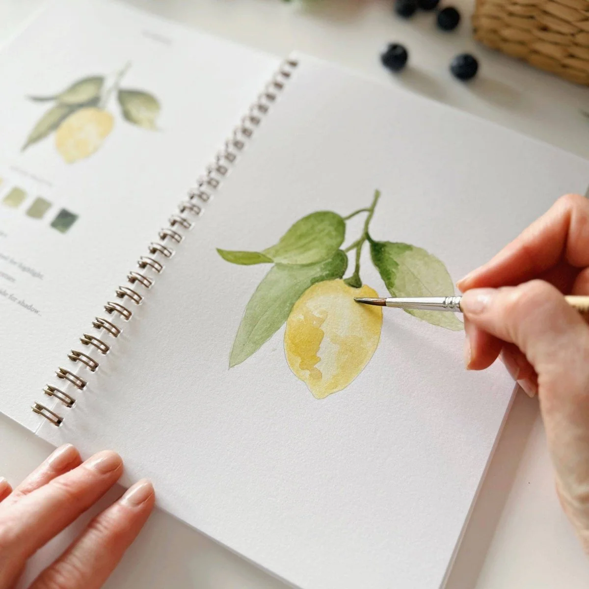 emily lex studio - Fruit watercolor workbook - Image 7