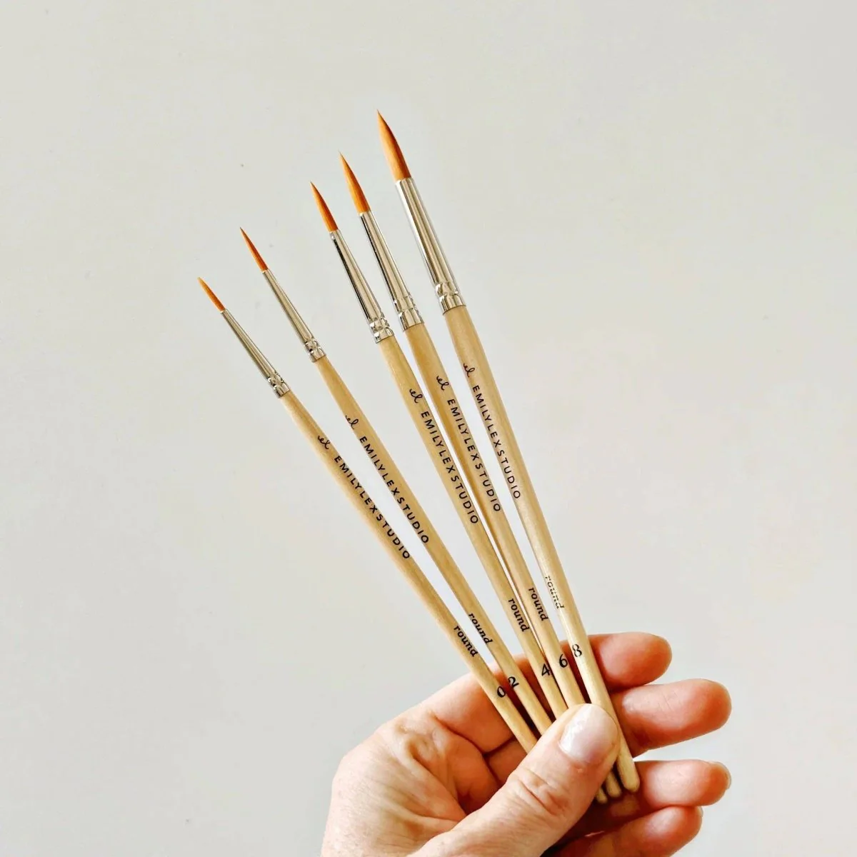 emily lex studio - Watercolor paintbrush set of five wood brushes - Image 2