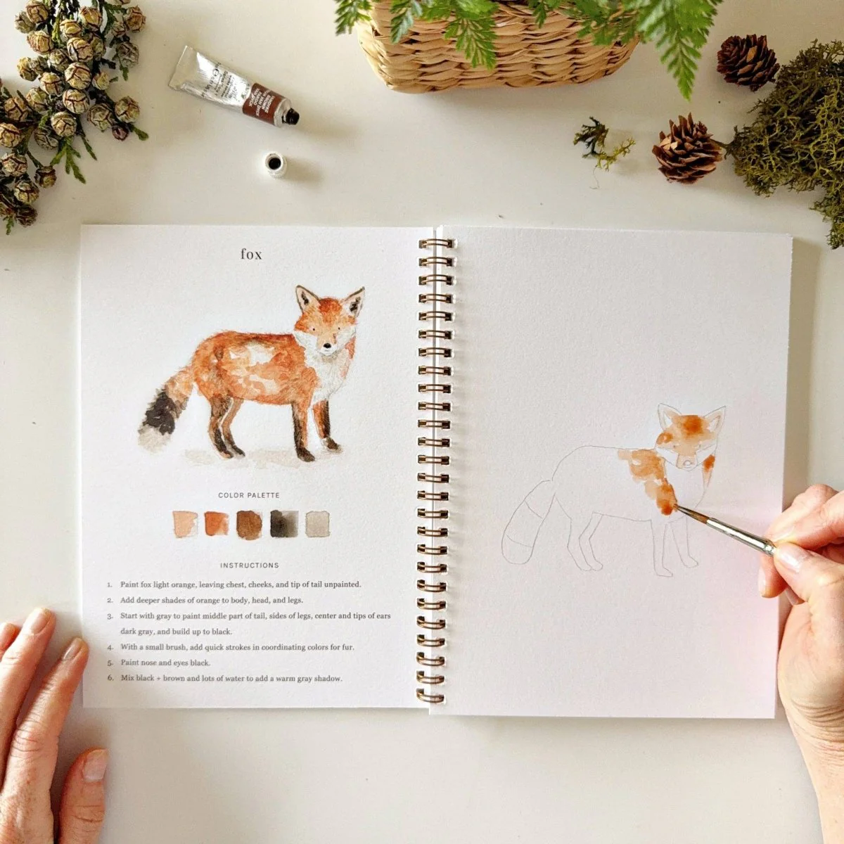 emily lex studio - Woodland watercolor workbook - Image 3