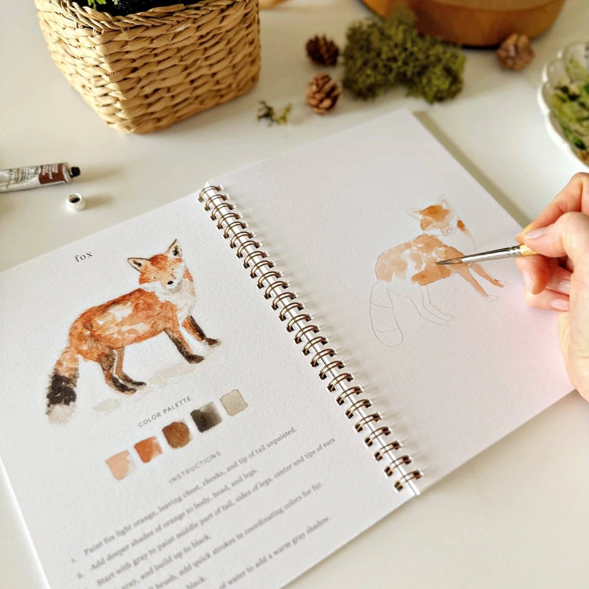 emily lex studio - Woodland watercolor workbook - Image 4