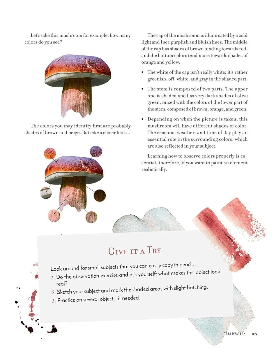 Fox Chapel Publishing - Discovering Watercolor  - 32 Skill Building Projects - Image 6