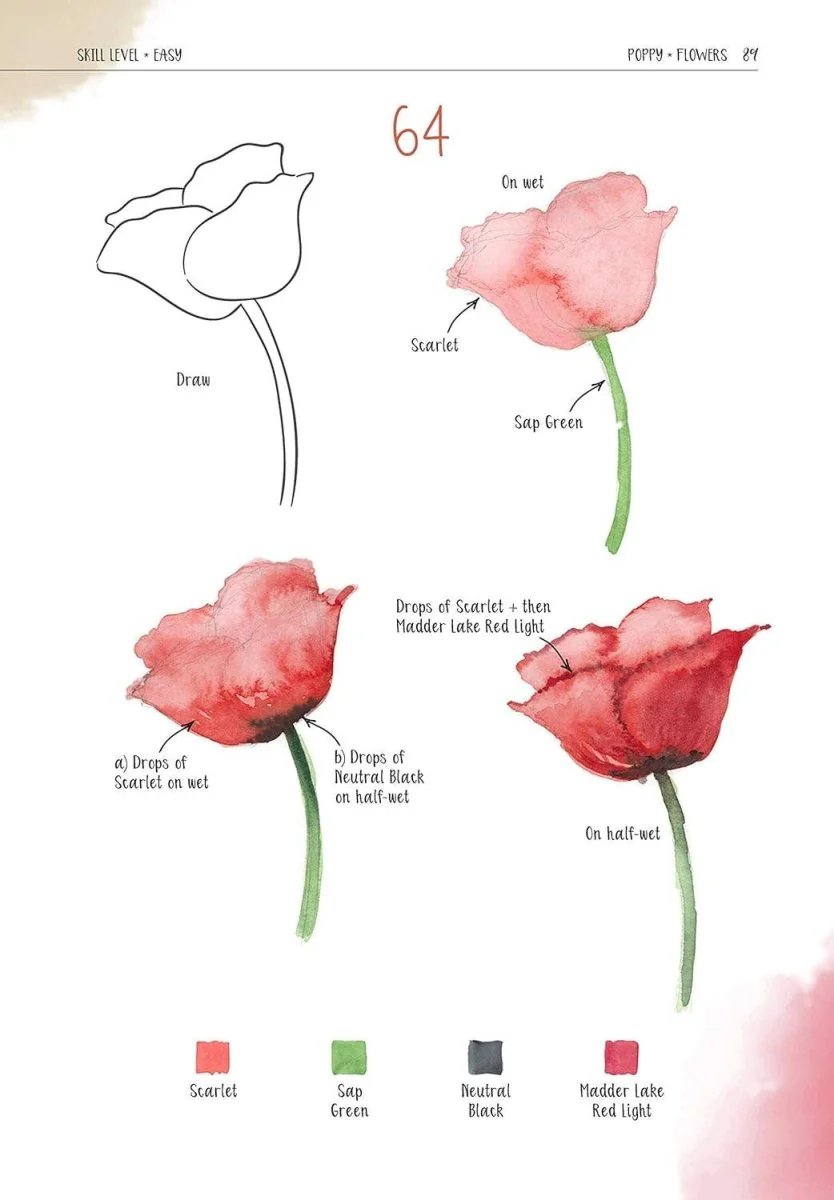 Fox Chapel Publishing - Watercolor - Success in Four Easy Steps - Image 2