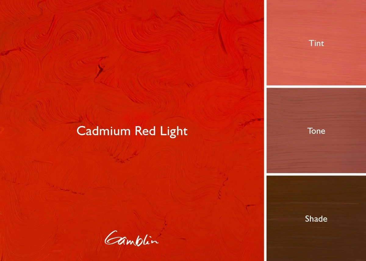 Gamblin 1980 Oil Color - 150ml - Cadmium Red Light - Image 2