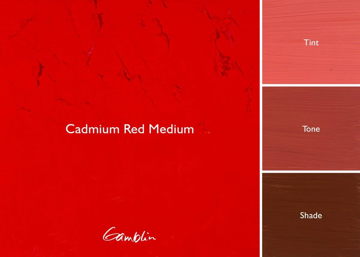 Gamblin 1980 Oil Color - 150ml - Cadmium Red Medium - Image 2