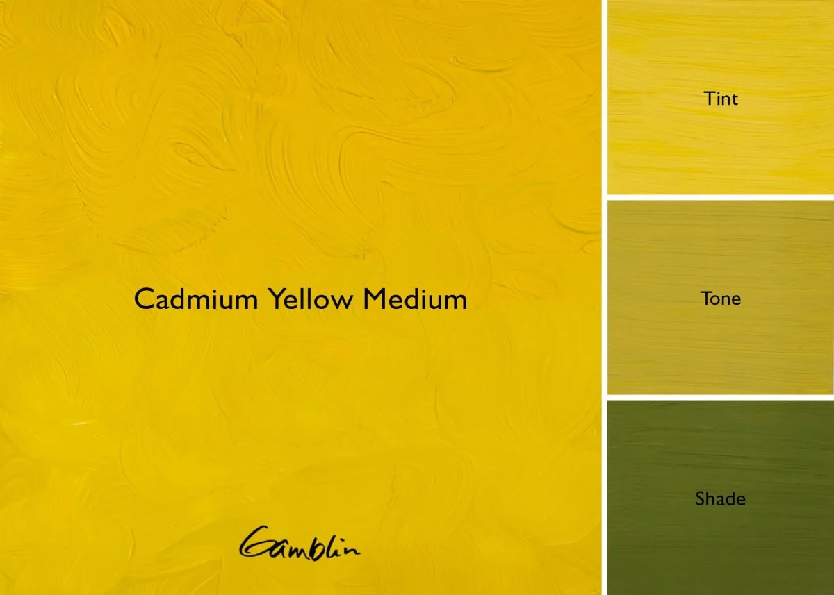 Gamblin 1980 Oil Color - 150ml - Cadmium Yellow Medium - Image 2