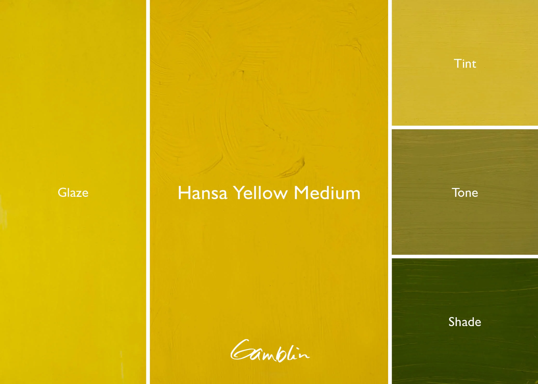 Gamblin 1980 Oil Color - 37ml - Hansa Yellow Medium - Image 2