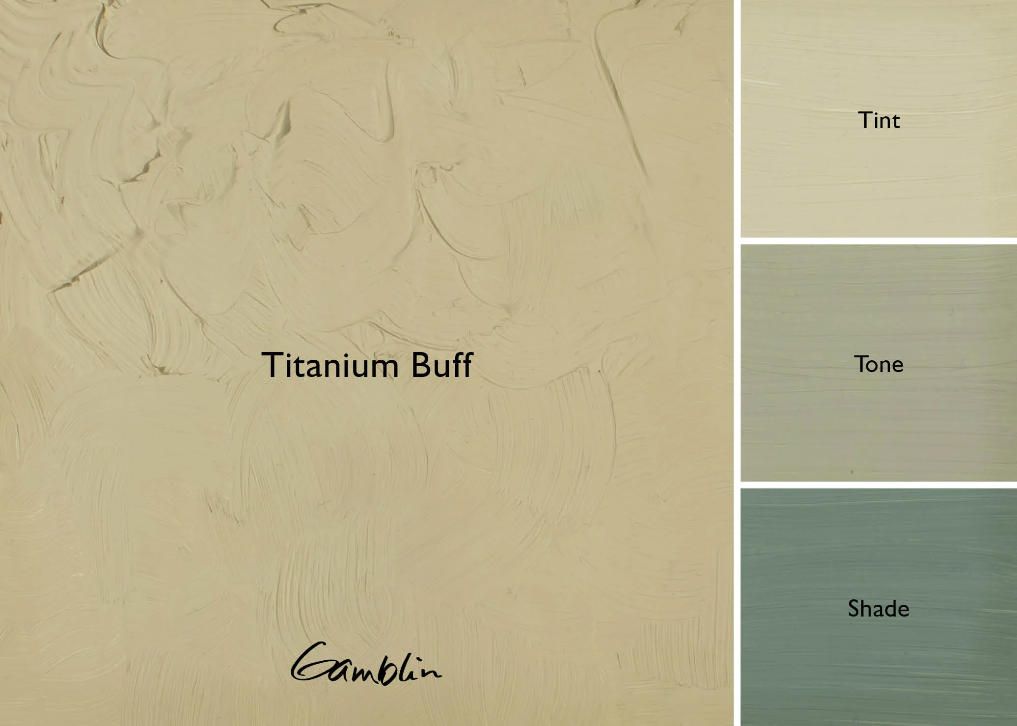 Gamblin 1980 Oil Color - 37ml - Titanium Buff - Image 2