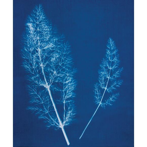 Jacquard Cyanotype - 2 Component Set - Image 2