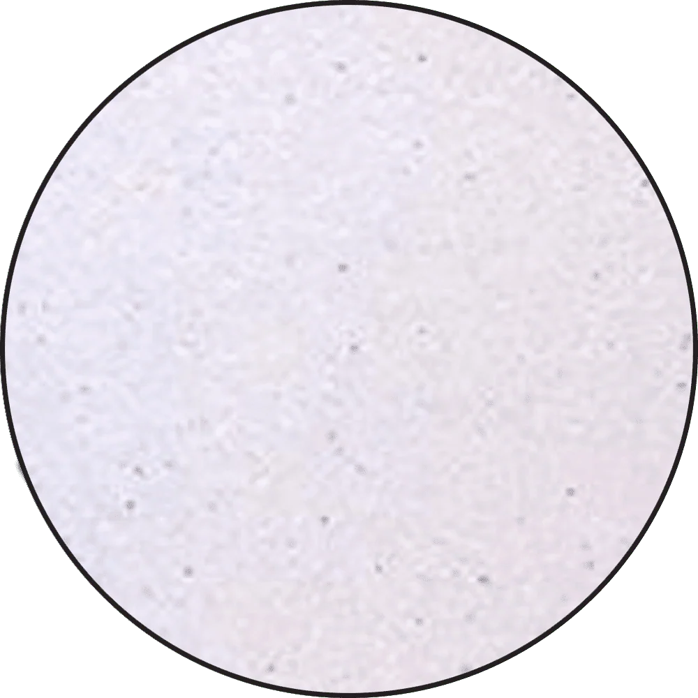 Ranger Embossing Powder 0.5 oz (14 gram) Lilac Pearl - Image 2