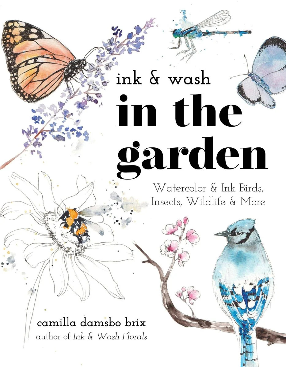 Macmillan Publishers - Ink And Wash In The Garden: Watercolor & Ink Wildlife Art