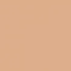 Medea NuWorlds Paint - Deep Neutral Flesh 1 oz - Image 2