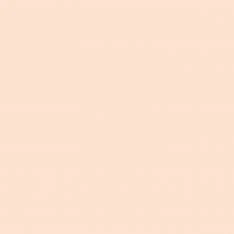 Medea NuWorlds Paint - Light Neutral Flesh 1 oz - Image 2