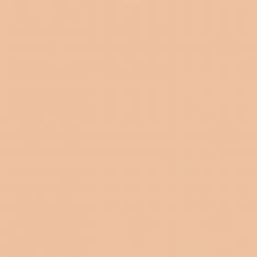 Medea NuWorlds Paint - Neutral Flesh 1 oz - Image 2