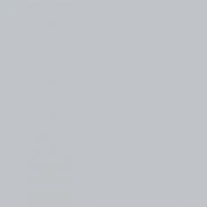 Medea NuWorlds Paint - Zenith Light Grey 1 oz - Image 2